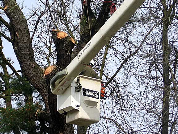 aerial lift